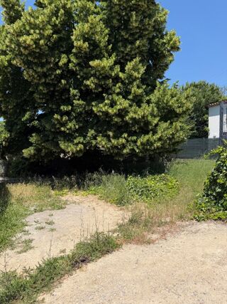  Terrain à vendre 343 m²