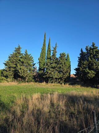  Terrain � vendre 310 m�