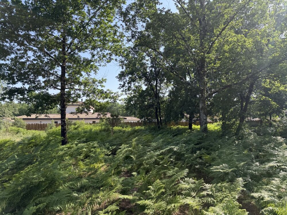 vente Terrain - 1040 m² Saint-Aubin-de-Médoc (33160)