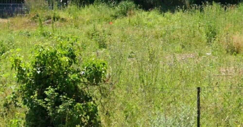 vente Terrain - 404 m² Peyrolles-en-Provence (13860)