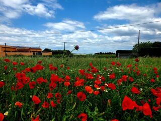  Terrain � vendre 388 m�