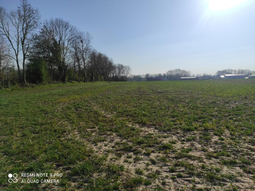 vente Terrain - 2294 m² Lieurey (27560)