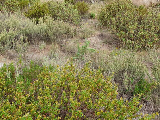  Terrain � vendre 303 m�