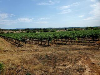  Terrain  vendre 375 m