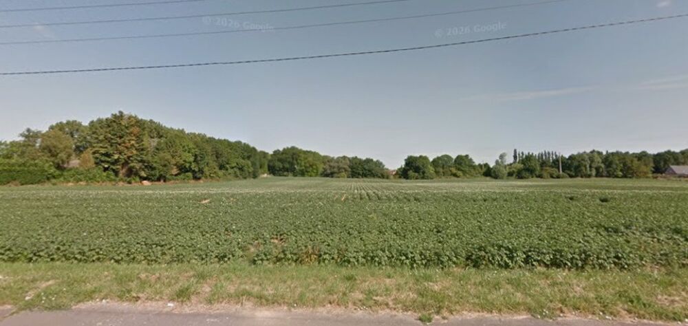 vente Terrain - 733 m² Vitry-en-Artois (62490)