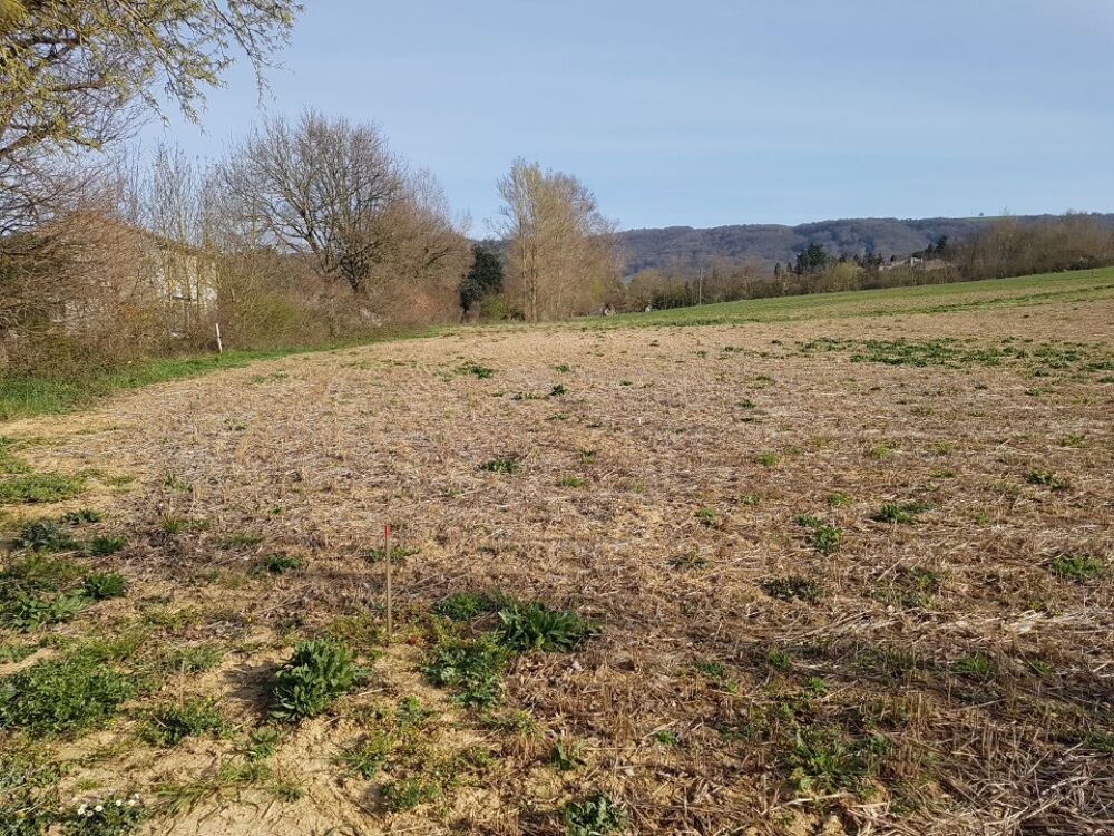 vente Maison - 5 pièce(s) - 88 m² Vaudreuille (31250)