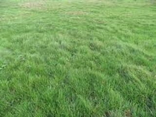  Terrain � vendre 468 m�