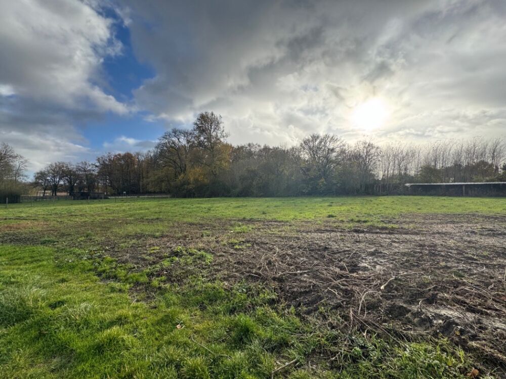 vente Terrain - 898 m² Blaignan (33340)
