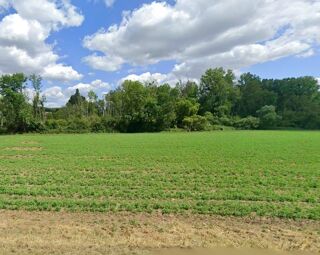 vente Maison - 6 pièce(s) - 90 m² Cerny (91590)