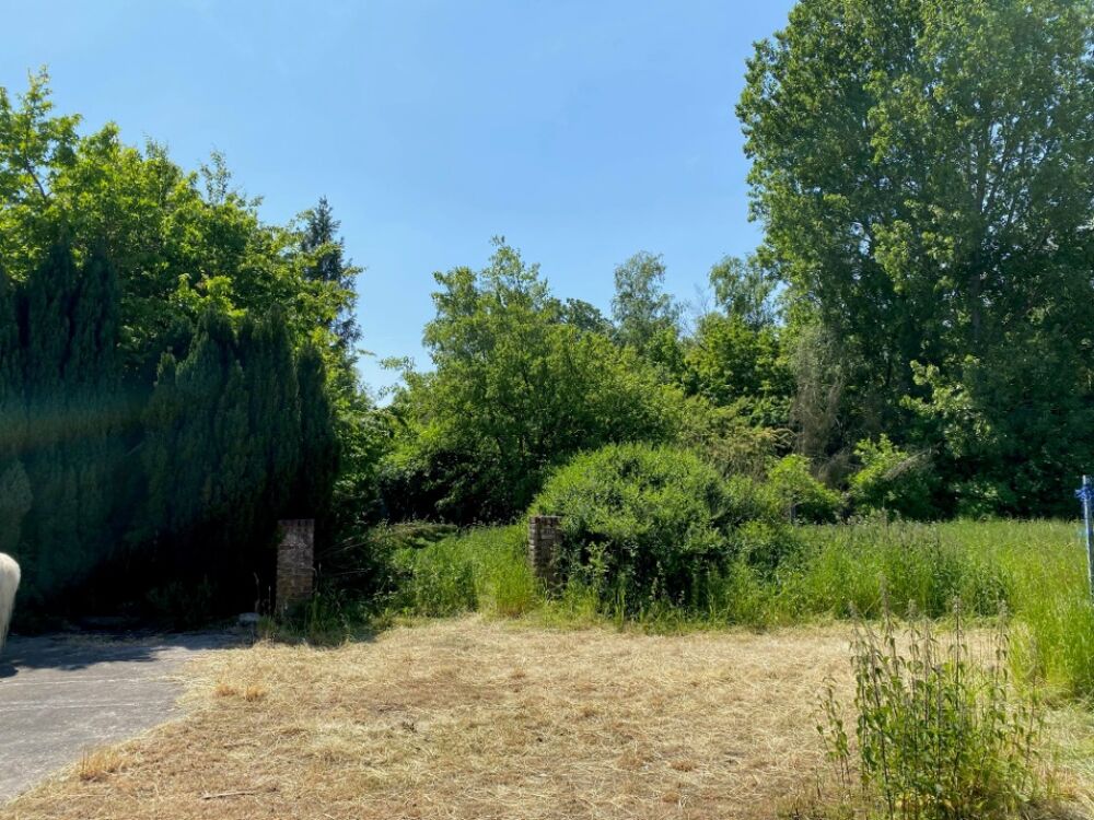 vente Maison - 6 pièce(s) - 150 m² Rieulay (59870)