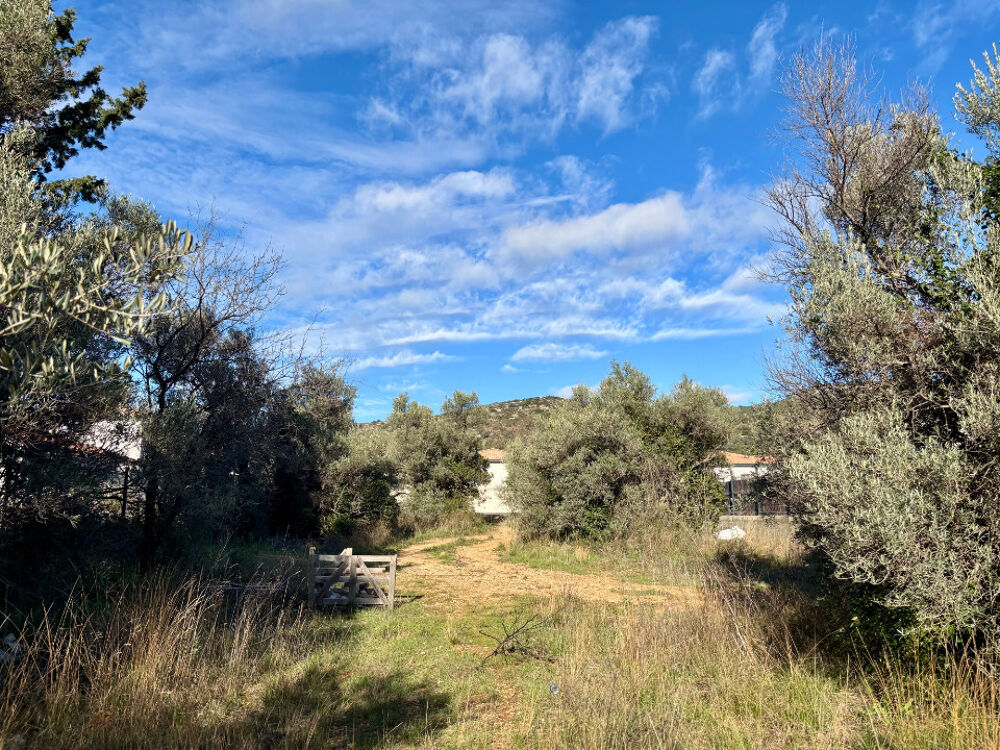 vente Terrain - 614 m² Saint-Jean-de-Fos (34150)