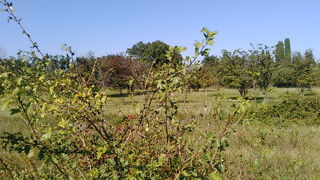  Terrain � vendre 630 m�