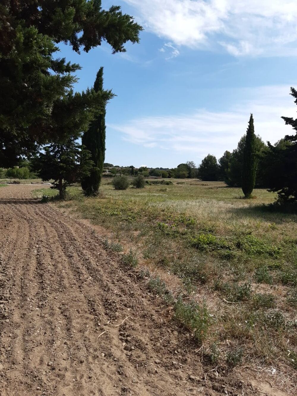 vente Terrain - 301 m² Saint-Pargoire (34230)