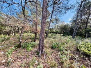  Terrain � vendre 964 m�