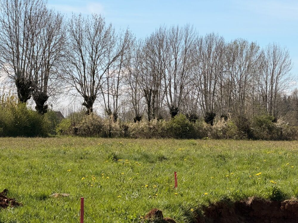 vente Terrain - 997 m² Thérondels (12600)