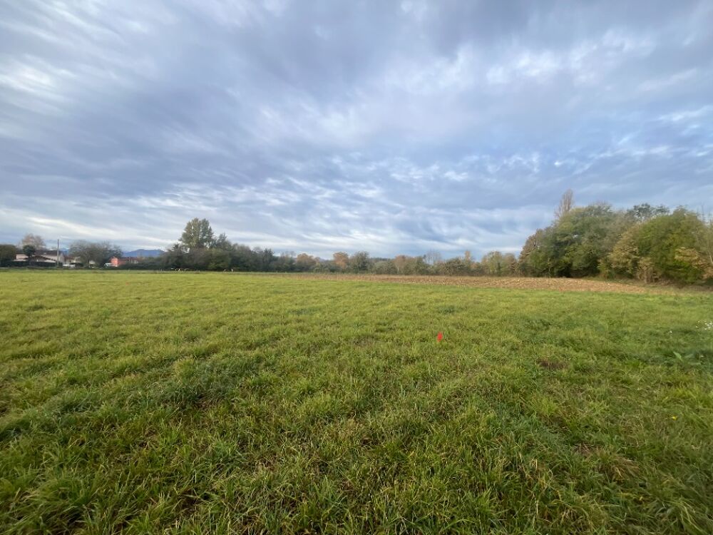 vente Terrain - 701 m² Juillan (65290)