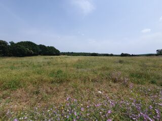  Terrain � vendre 350 m�