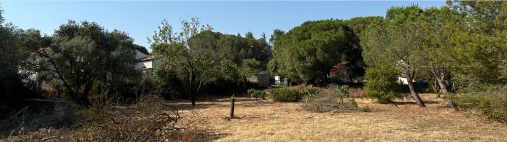 vente Terrain - 740 m² Bizanet (11200)