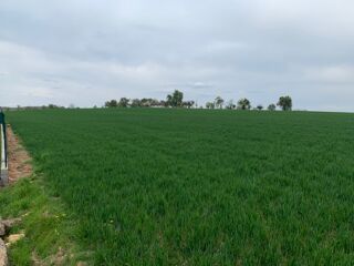  Terrain  vendre 498 m