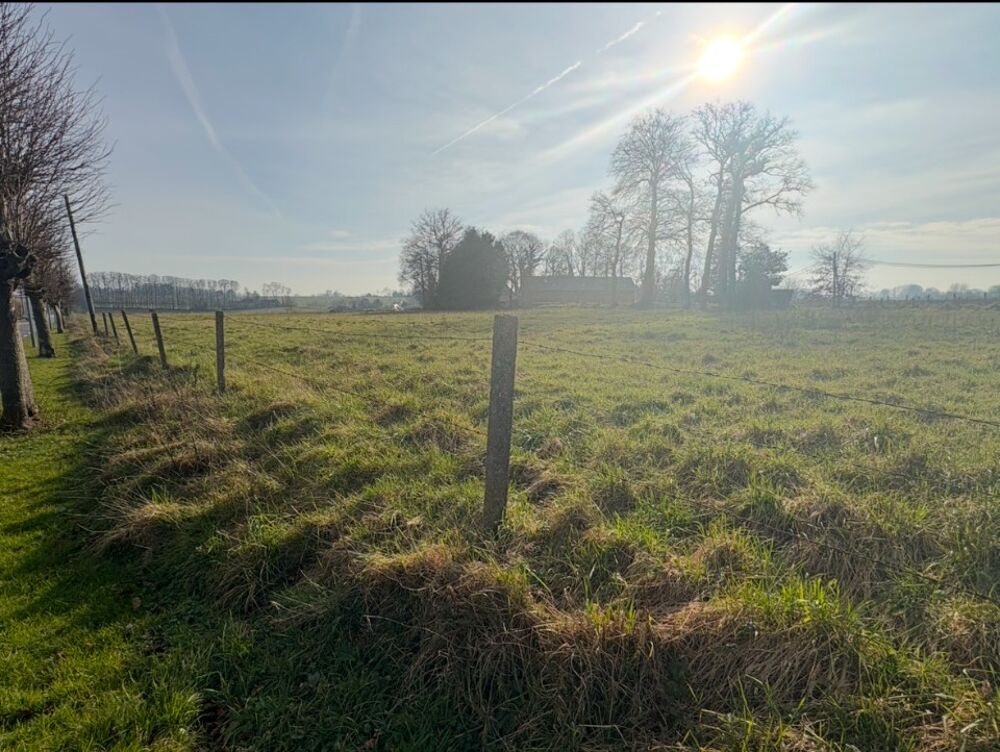 vente Terrain - 608 m² Bréauté (76110)