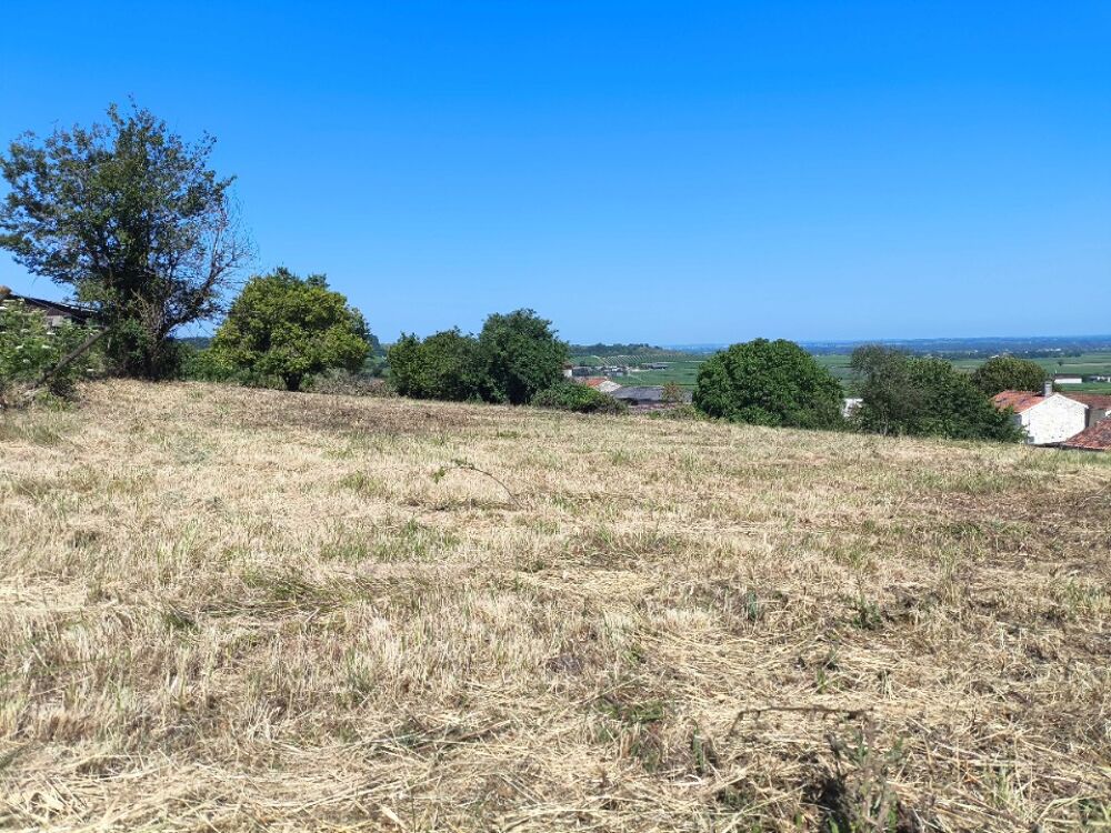 vente Terrain - 1100 m² Saint-Preuil (16130)