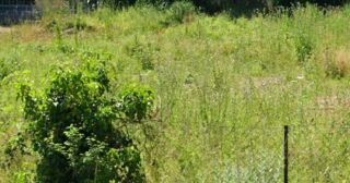  Terrain � vendre 401 m�