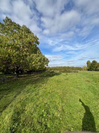  Terrain � vendre 419 m�