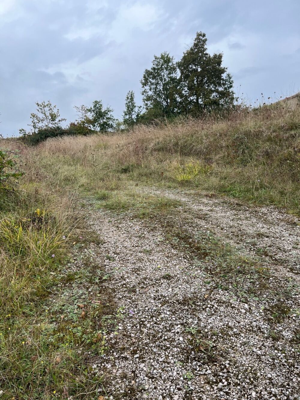 vente Terrain - 768 m² Castelnau-de-Montmiral (81140)