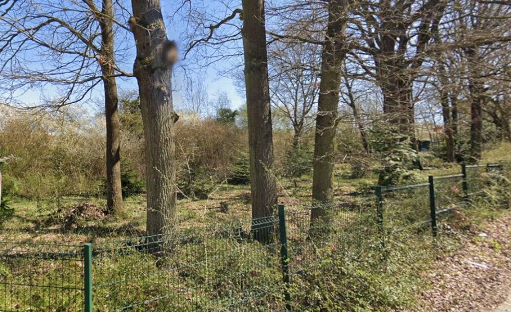 vente Terrain - 407 m² Saint-Germain-lès-Arpajon (91180)