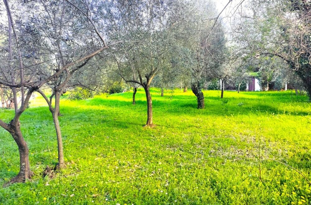 vente Terrain - 1000 m² Draguignan (83300)