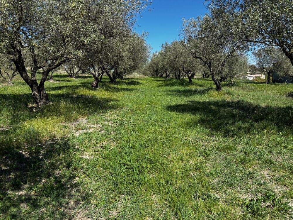 vente Maison - 6 pièce(s) - 140 m² Vagnas (07150)