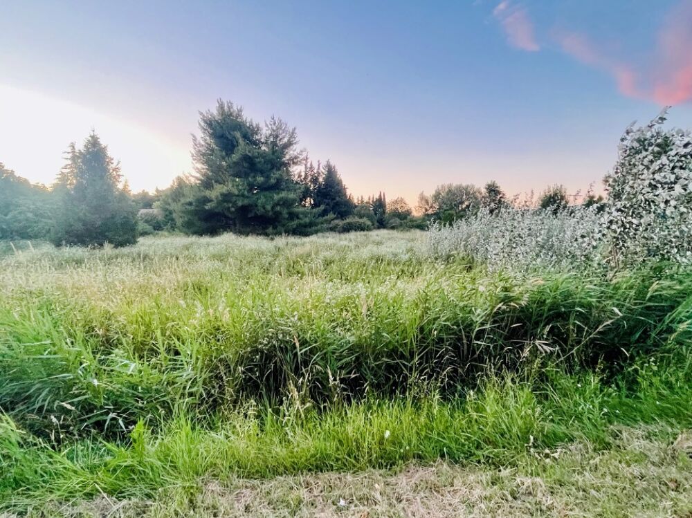 vente Terrain - 430 m² Sénas (13560)