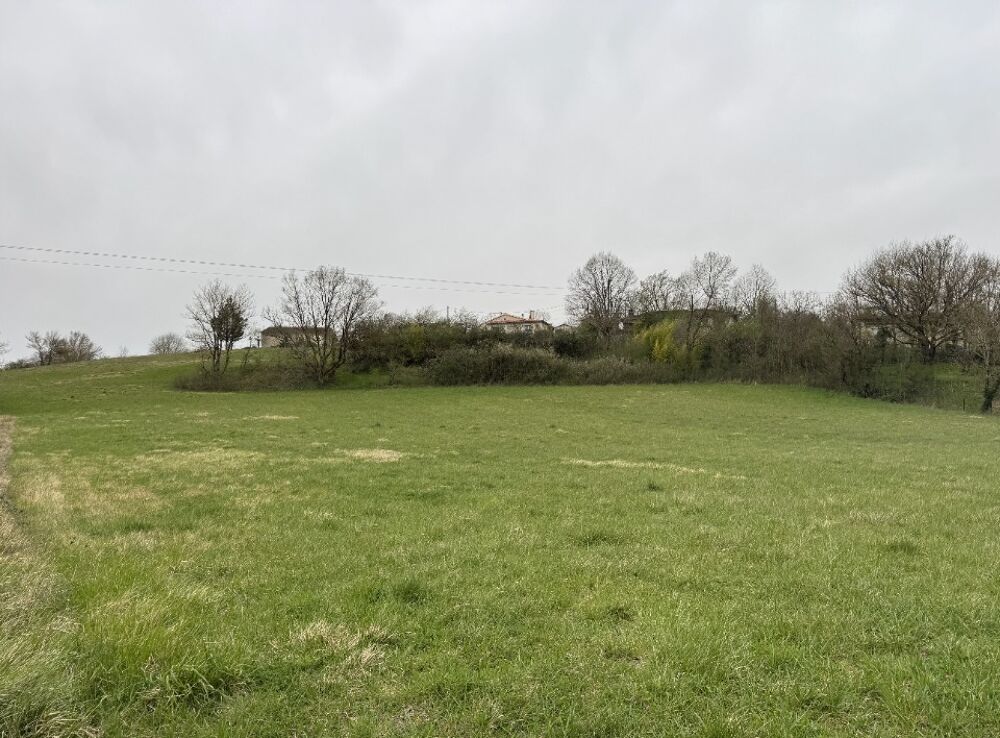 vente Maison - 5 pièce(s) - 115 m² Auriac-sur-Vendinelle (31460)