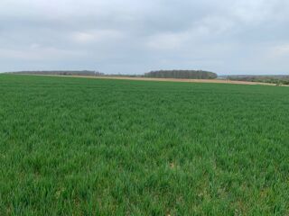  Maison 5 pi�ces 110 m� Waldwisse