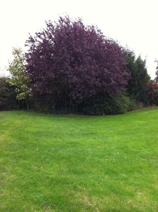  Maison � vendre 6 pi�ces 150 m�