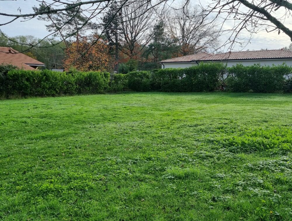 vente Maison - 5 pi�ce(s) - 145 m� Villenave-d'Ornon (33140)