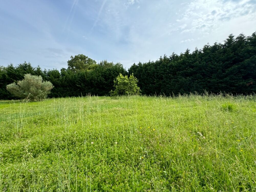 vente Maison - 5 pièce(s) - 107 m² Saint-Papoul (11400)