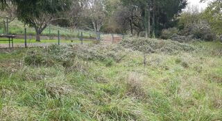  Terrain 547 m� Etzling