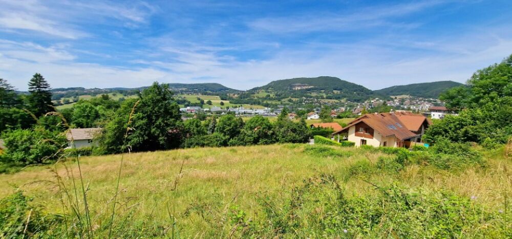 vente Terrain - 448 m² Allonzier-la-Caille (74350)