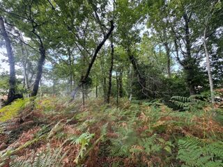  Terrain � vendre 2019 m�