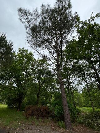  Terrain à vendre 600 m²