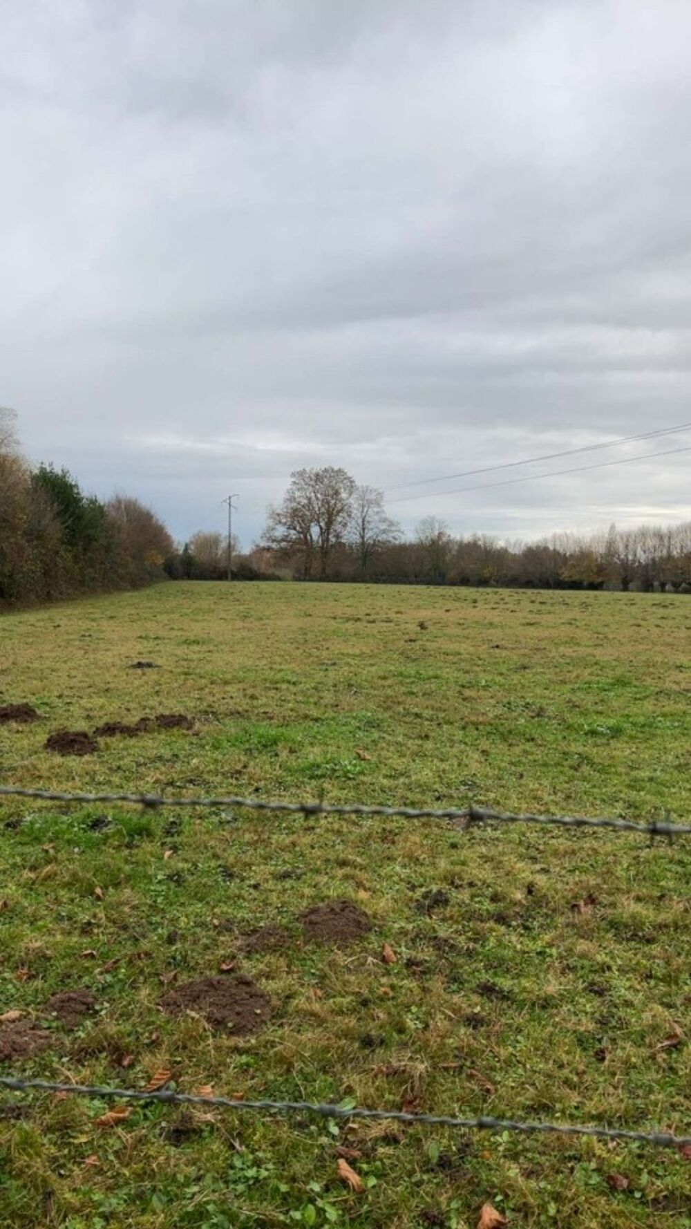MAISON À CONSTRUIRE DE 50 M² À FORGES-LES-EAUX, 3 PIÈCES....