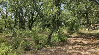  Terrain � vendre 3137 m�