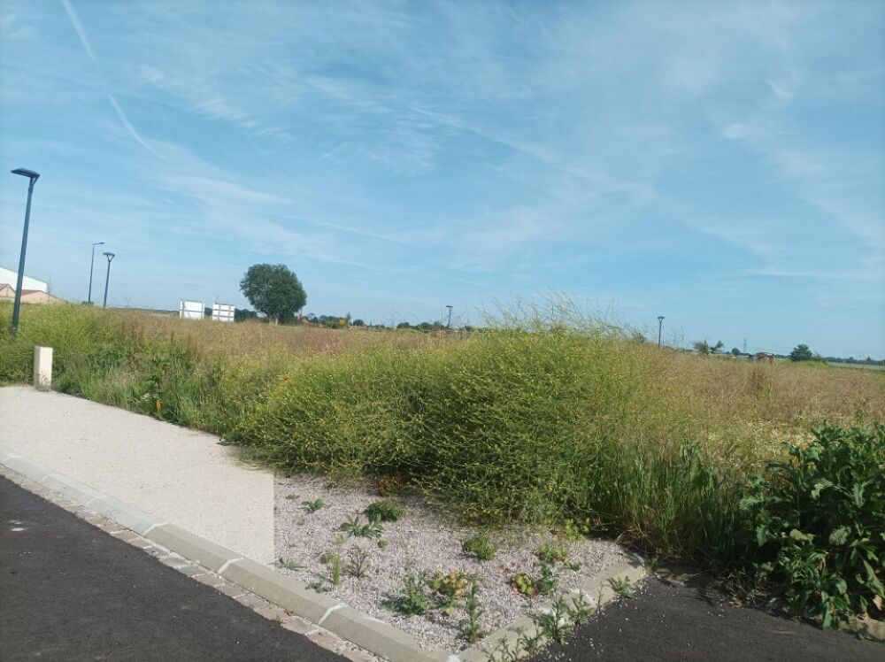 vente Terrain - 498 m² Flocques (76260)