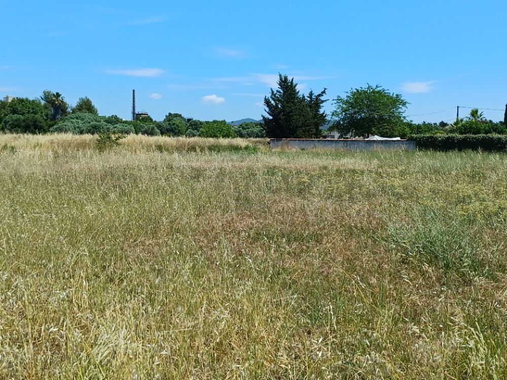 vente Terrain - 702 m² La Crau (83260)