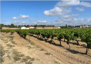  Terrain � vendre 507 m�