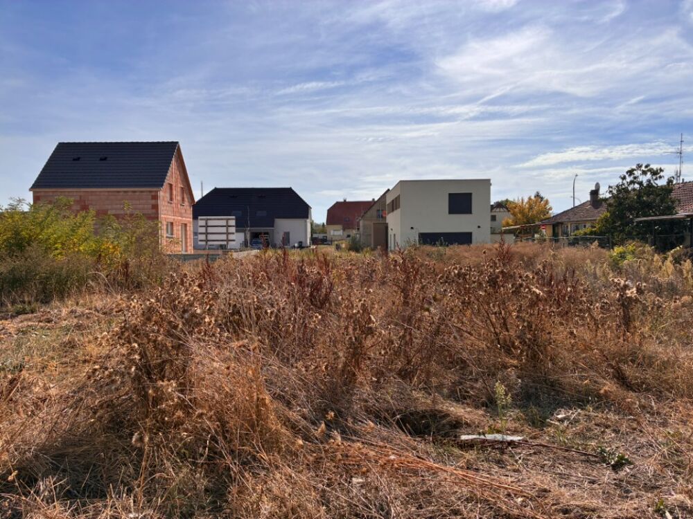 vente Terrain - 519 m² Bennwihr (68630)