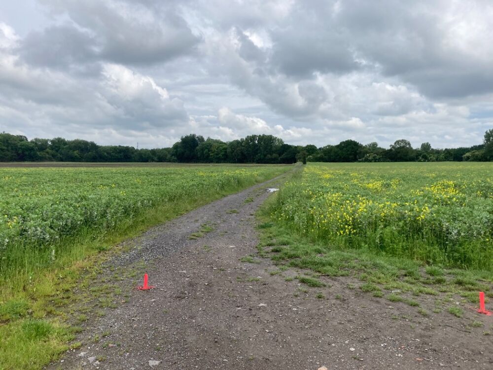 vente Terrain - 429 m� Carvin (62220)