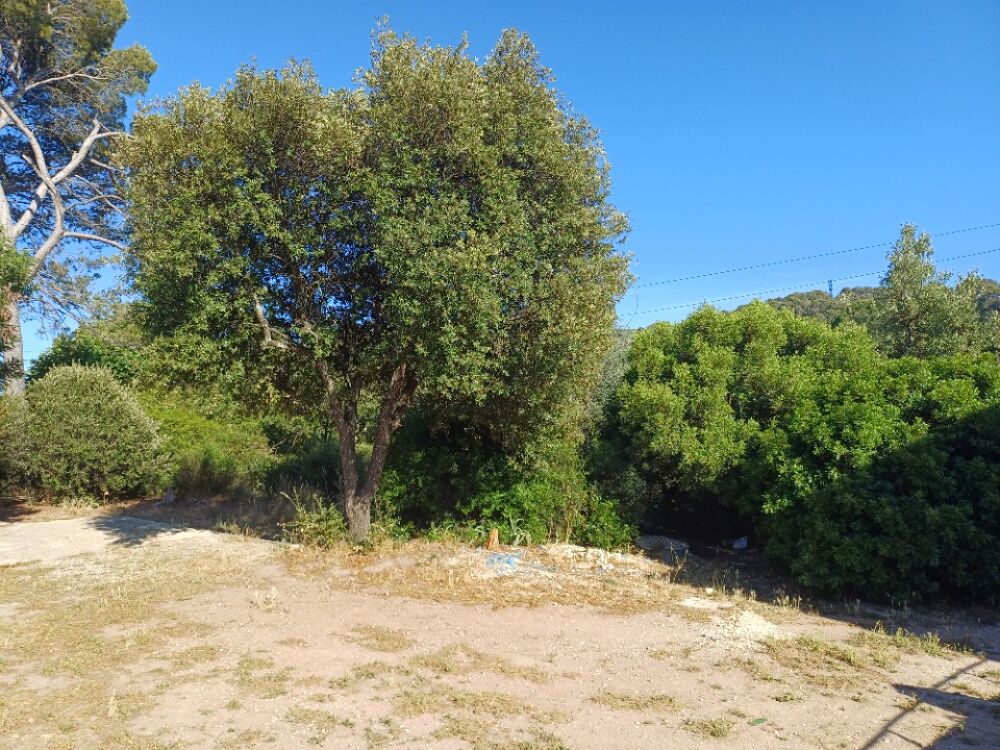 vente Terrain - 428 m² Pierrefeu-du-Var (83390)