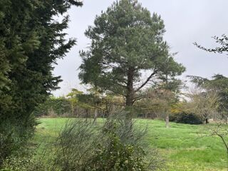  Terrain � vendre 803 m�